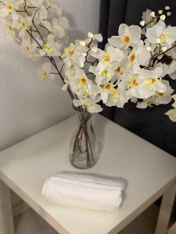 Central Shared Apartment, Friesenplatz Köln Eksteriør billede